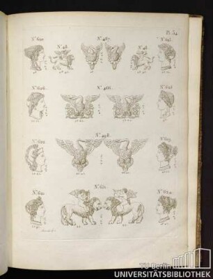 Pl. 34. No. 620, No. 48, No. 467, No. 48, No. 623, No. 626, No 466, No. 625, No. 622, No. 498, No. 619, No. 621, No. 651, No. 624.