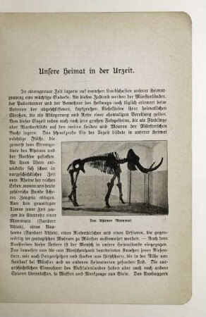 Unsere Heimat in der Urzeit