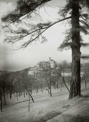 Schloss Hartenstein