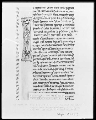 Expositio psalmorum Aurelii Augustini — Initiale I(n omni munere), Folio 10recto
