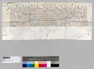 Erzbischof Guidobald von Salzburg teilt den Geistlichen und Laien der Diözese mit, dass er dem Propst Patritius [I.] von Baumburg das Archidiakonat Baumburg übertragen hat.; S: Erzbischof Guidobald von Salzburg