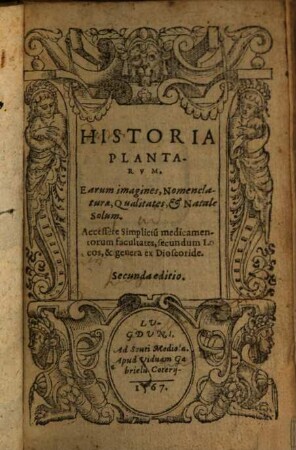 Historia Plantarvm : Earum Imagines, Nomenclaturae & Qualitates, et Natale Solum. Accessere Simplicium medicamentorum facultates, secundum Locos & genera ex Dioscoride