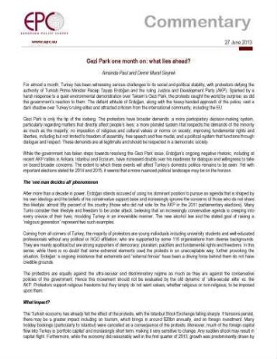 Gezi Park one month on : what lies ahead?