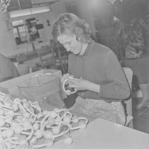 Spielwaren Kurt Haufe Kamenz (später VEB Kamenzer Spielwaren). Produktion