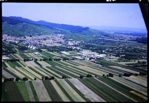 Ihringen: Ihringen Gesamtbild von Süden