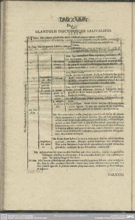 Tab. XXX. De Glandulis Ductibusque Salivalibus