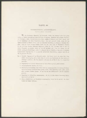 Tafel 88. - Puppengewänder, Kinderspielzeug.