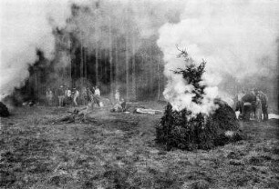 Finkenmanöver in Benneckenstein, Ostharz, 20.05.1991. Die Finken sitzen einzeln in verkleidetetn Käfigen und singen um die Wette. Wer am Längsten schlägt, wird von einer Jury zum Sieger erklärt. - Anschließend gibt es am Waldrand noch eine kleines Volksfest mit Marschmusik und Lagerfeuer