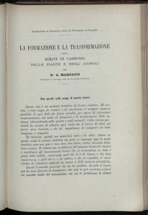 La Formazione E La Trasformazione Degli Idrati Di Carbonio Nelle Piante E Negli Animali