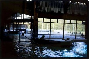 Freiburg: Thermalbad, Innenbecken