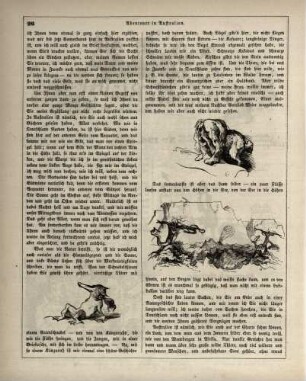 "Abenteuer in Australien"