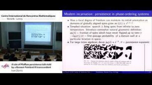A tale of Pfaffian persistence tails told by a Bonnet-Painlevé VI transcendent