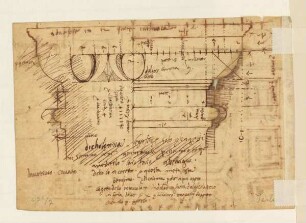 Aufriss und Proportionsstudien eines dorischen Kapitells