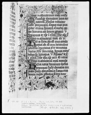 Lateinisches Gebetbuch aus Kloster Baumburg — Initiale E und zwei Initialen H; Vollbordüre