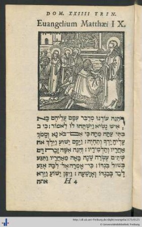 Dominica XXIIII. Trinitatis, Evangelium Matthaei IX.
