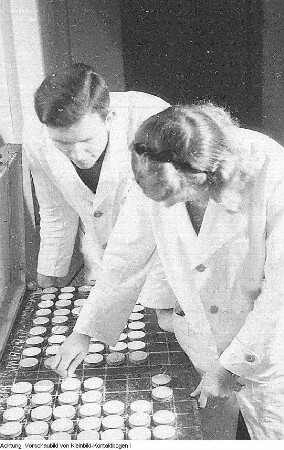 Müllerschule, 1948