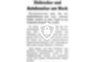 Einbrecher und Autoknacker am Werk