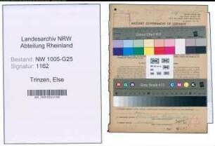 Entnazifizierung Else Trinzen , geb. 27.11.1898 ()