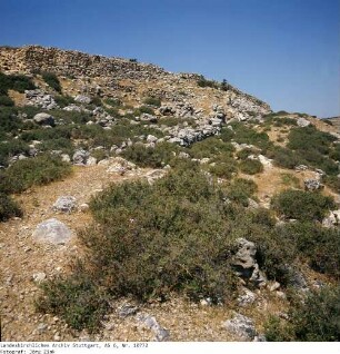 Israel: Samarisches Bergland