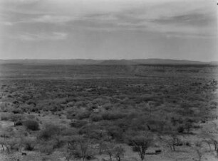 Im abessinischen Graben bei Metahara : Savannenvegetation im abessinischen Teil des Ostafrikanischen Grabenbruchs, nahe Metahara