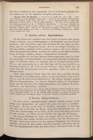 B. Glandulae salivales. Speicheldrüsen.