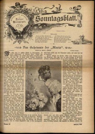 Ausgabe vom Sonntag, den 07. Juni 1896.