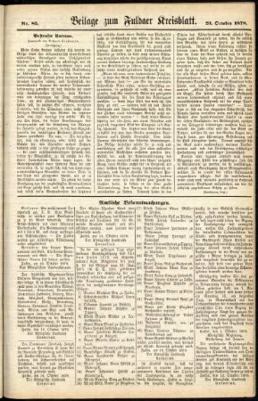 Zweite Ausgabe vom Mittwoch, den 23. Oktober 1878.