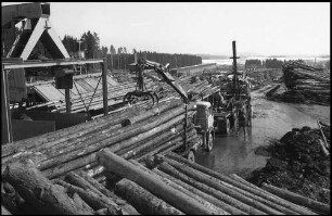 Rötenbach: großes Holzverarbeitungswerk Krebs, Holzlager