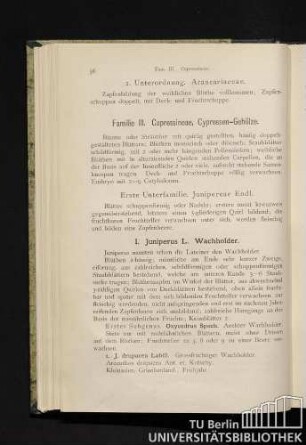 Familie III. Cupressineae, Cypressen-Gehölze.