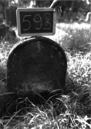 Grabstein 593 (Index: 100102444) Material: Sandstein Zustand: stark verwittert, fast vollständiger Textverlust Maße HxBxT: 49x40x10 cm Beschreibung: Stele, Rundbogenabschluss, Schriftfeld eingetieft: Grabstein 593