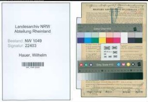 Entnazifizierung Wilhelm Hauer , geb. 02.09.1889 (Steiger)