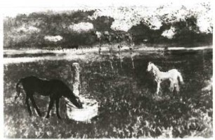 Weide am Niederrhein