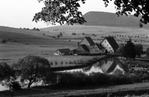Geisingen: Mühle an der Donau, Vordergrund Äste