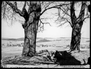 Steinigtwolmsdorf O/L, von 7 Linden