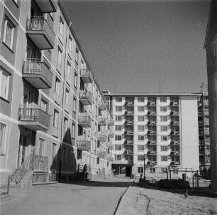 Dresden-Striesen, Borsbergstraße 24-32. 5-geschossige Wohnhäuser und 8-geschossiges Appartementhaus (1955-1958; H. Schneider, W. Hänsch, G. Kintzer, G. Dettmar)