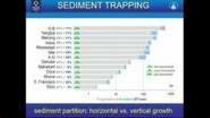 Remote Sensing Deltas