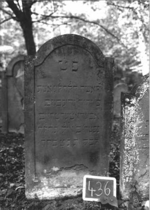 Grabstein 436 (Index: 99895659) Material: Sandstein Zustand: gut Maße HxBxT: 124x63x8 cm Beschreibung: Stele mit eingezogenem Rundbogenabschluss: Grabstein 436