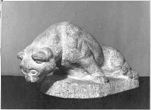 Neugierige und ängstliche Katze