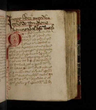Hugo de Sancto Victore: De institutione novitiorum
