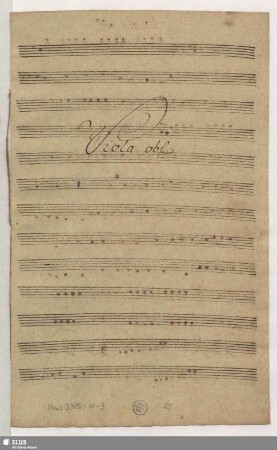 Viola obl.
