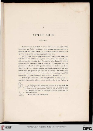 I: Artemis ailée