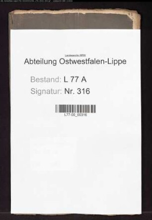 Anstellung der Drosten des Amtes Schötmar