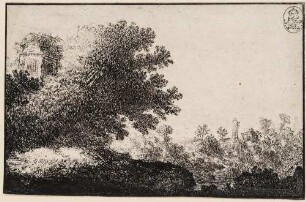 Landschaft