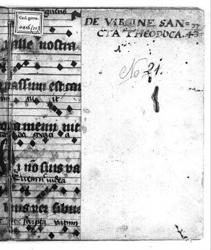 Theophrasti ex Hohenheim libellus de virgine Sancta theotoca (deutsch) - BSB Cgm 4416(21