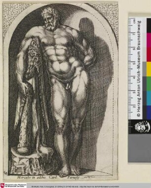 Hercules in ædibus Card. Farnesij