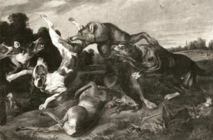 Unbekannter Künstler: Wölfe im Kampf mit Hunden. 18./19. Jahrhundert. Öl auf Leinwand; 162 x 244,5 cm. Dresden-Pillnitz: Gemäldegalerie Alte Meister S 178