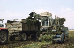 Langgutlader auf Basis des Fe1dhäckslers E 280