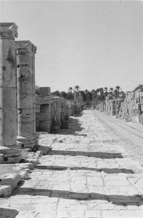 Straße in Leptis Magna : Blick auf eine mit Säulen gesäumte, altrömische Straße