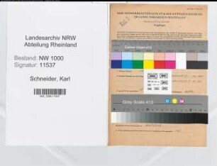 Entnazifizierung Karl Schneider, geb. 09.06.1895 (Verw.Angest.)