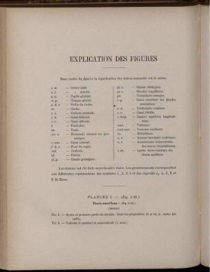 Explication Des Figures